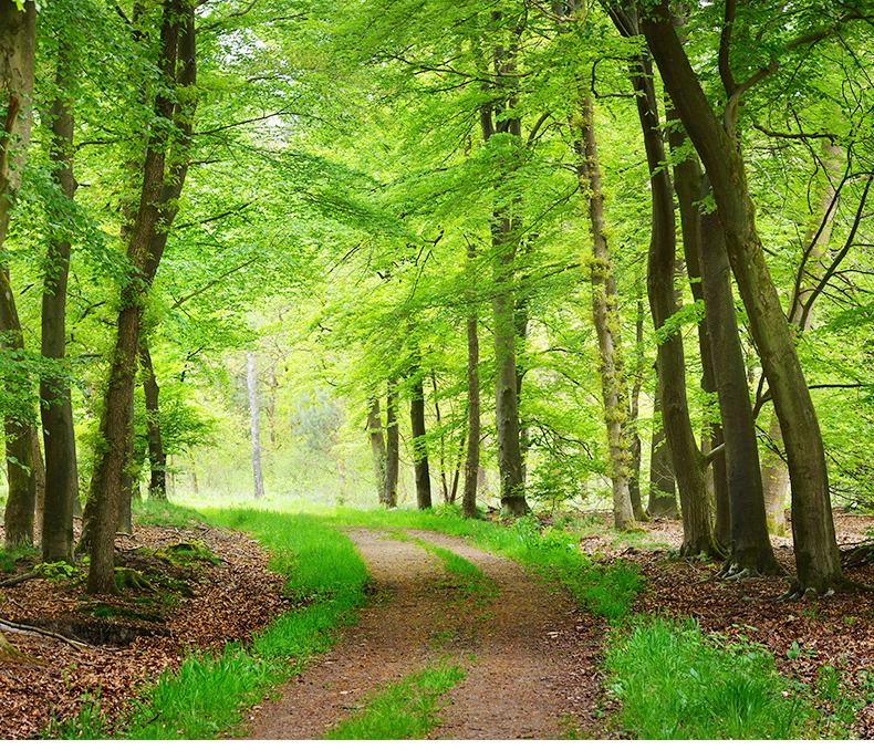 美國(guó)牛卡紙1_02_02 美國(guó)牛卡紙1_02_02